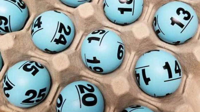 Khám Phá Thế Giới Cá Cược Bóng Đá: Tha Bet và Những Thông Tin Quan Trọng